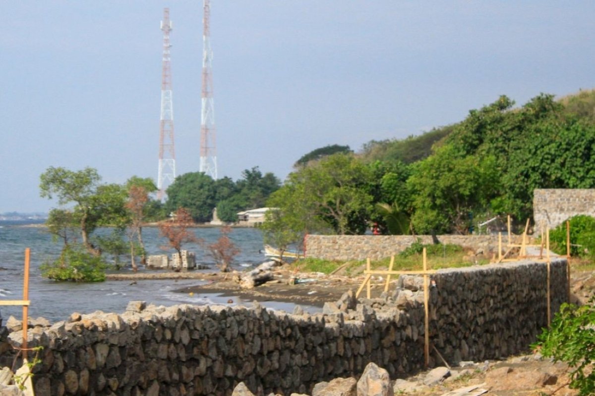 DLH Situbondo temukan mangrove mati di area investasi hotel, pengusaha kena sanksi