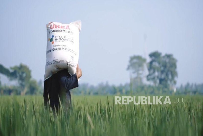 FAO apresiasi ketangguhan petani Indonesia di tengah tekanan krisis pupuk global
