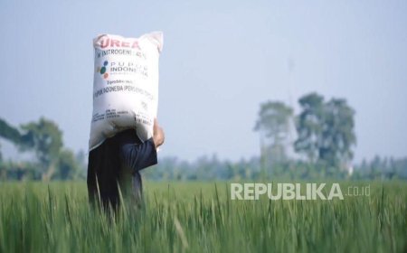 FAO apresiasi ketangguhan petani Indonesia di tengah tekanan krisis pupuk global